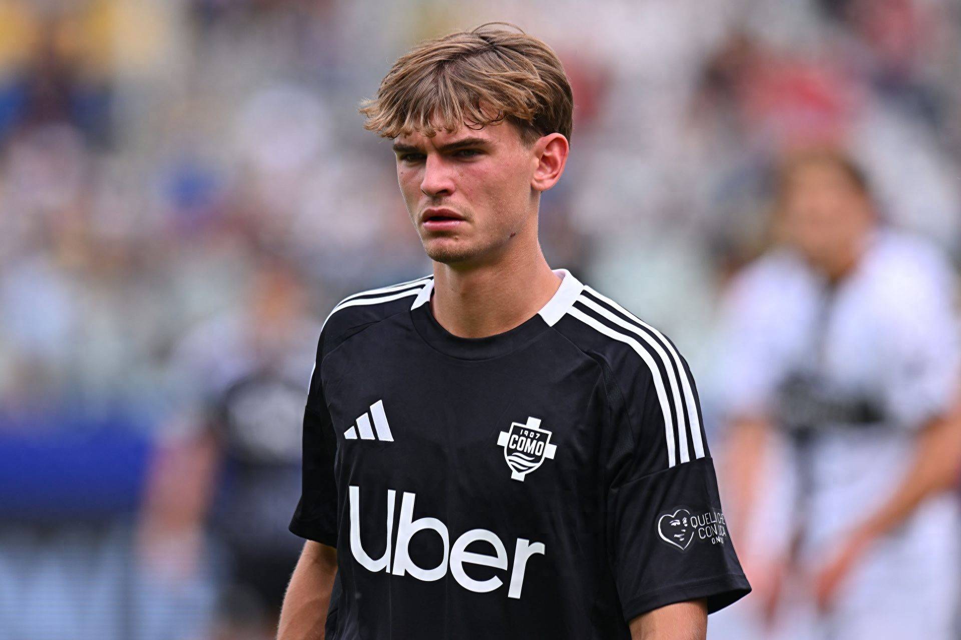 打乱药厂的 打乱药厂的